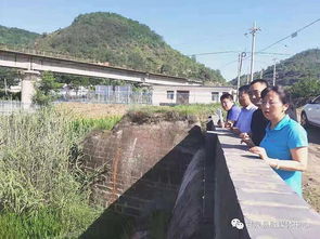 杨宏兰检查劳山乡水污染防治 农业生产 新时代文明实践中心建设工作