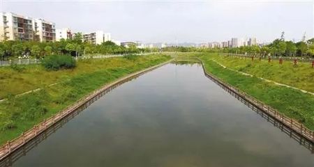 辛世杰率队现场巡河,为打好水污染防治攻坚战把脉问诊!