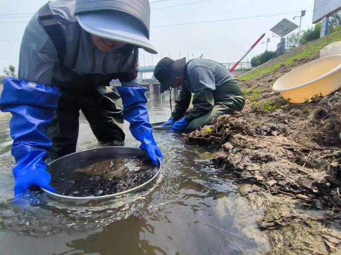 丰台区推动水污染治理从"达标"走向"可亲" 绘就人水和谐新图景